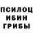 Псилоцибиновые грибы Magic Shrooms Carla C