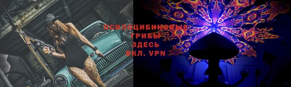 ГАЛЛЮЦИНОГЕННЫЕ ГРИБЫ Белоозёрский