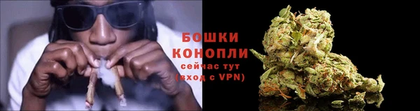 не бодяженный Белокуриха