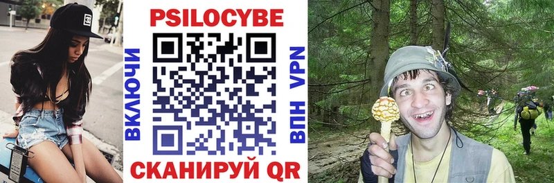 Псилоцибиновые грибы мицелий  Обь 